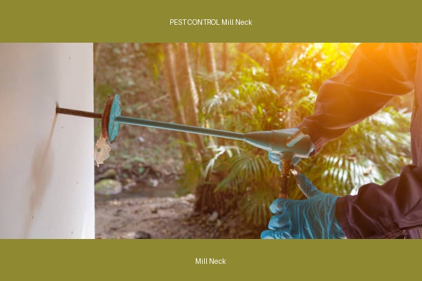 PEST CONTROL Mill Neck